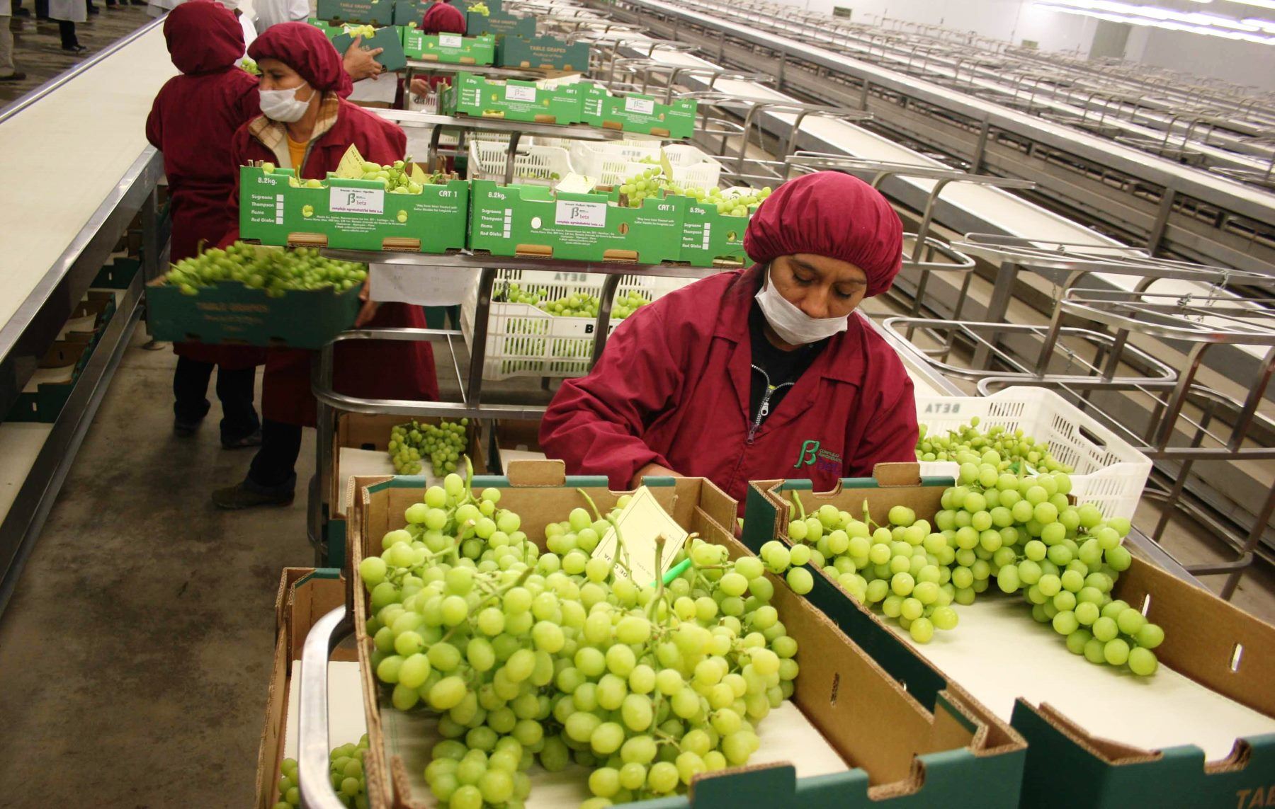La agroexportación imparable