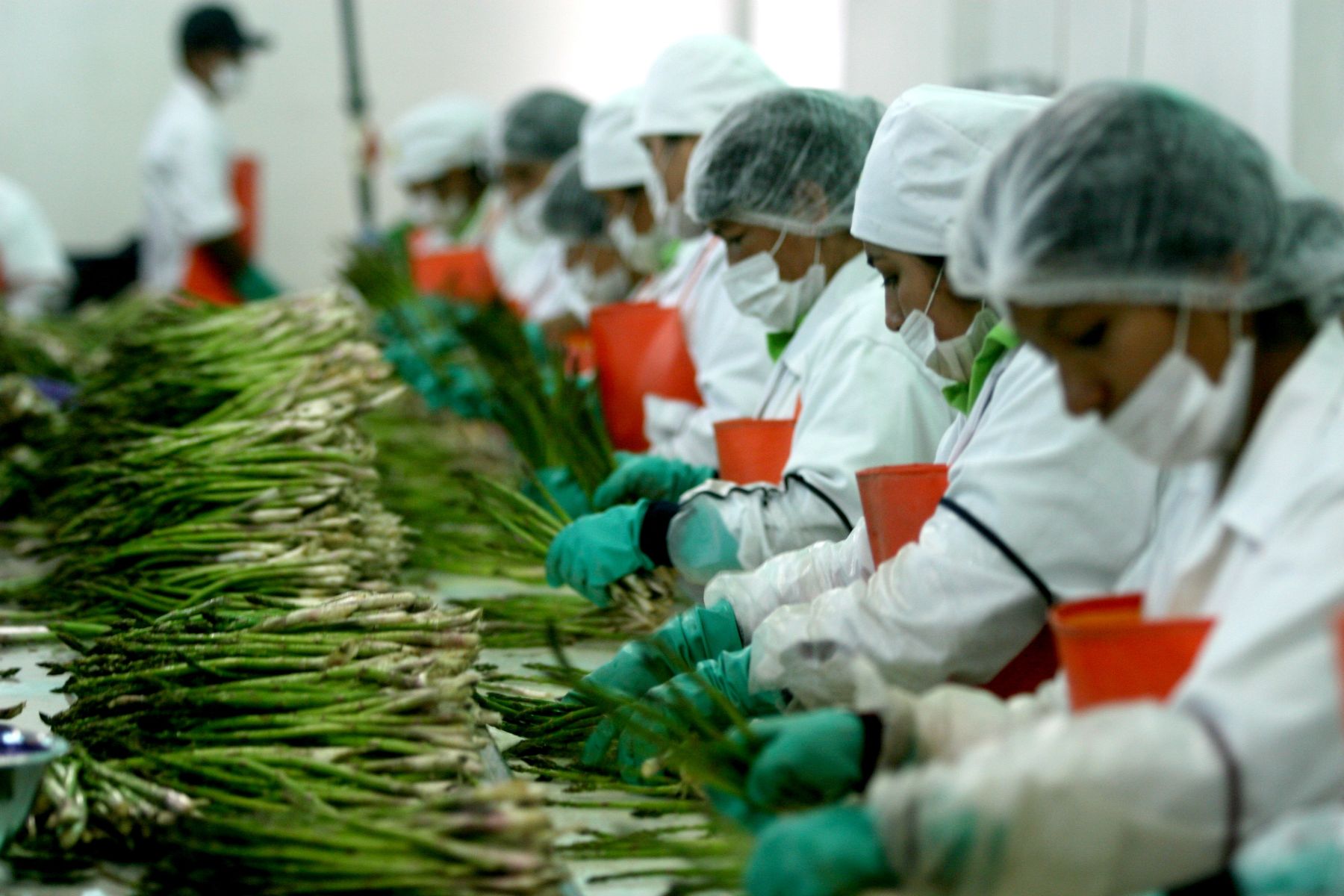 ¡La urgente reforma laboral!