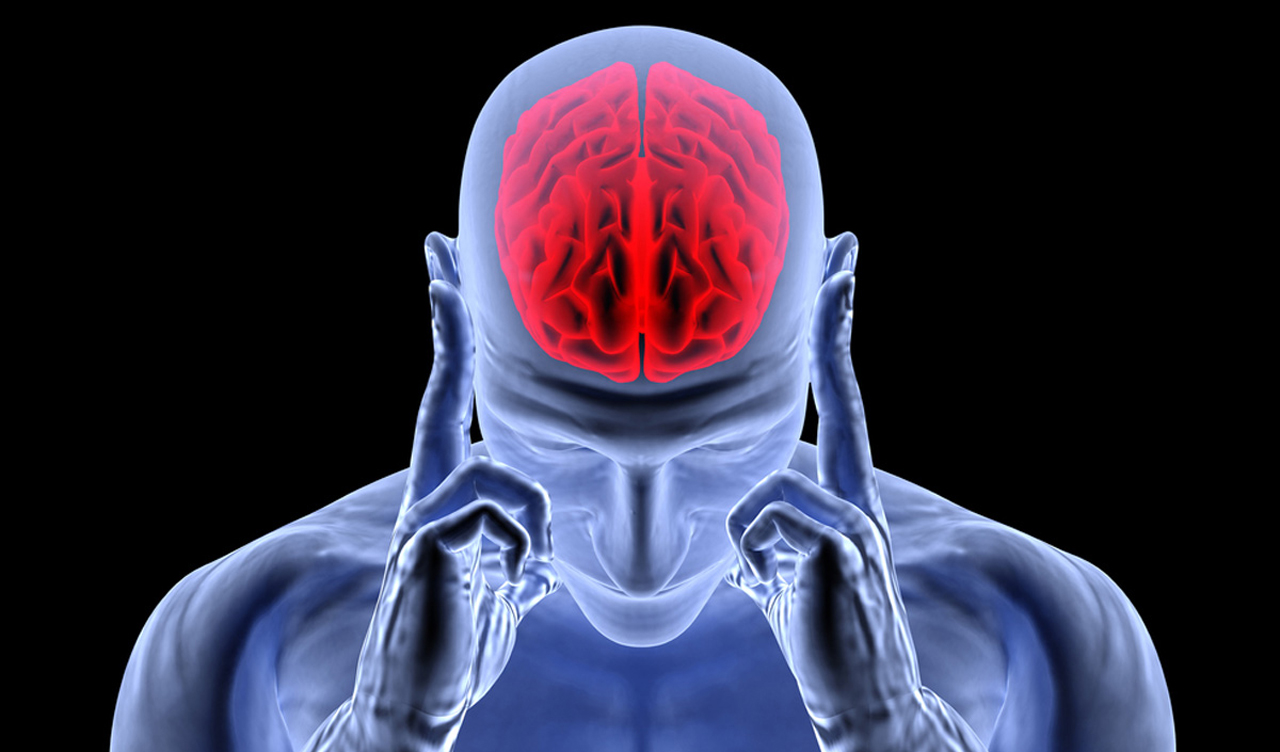 Liderazgo, cerebro reptil y cerebro límbico