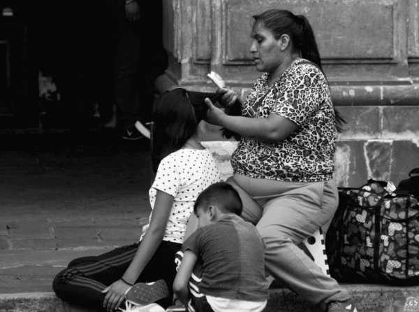 El Sistema Nacional de Cuidados y la estatizaci&oacute;n de la familia