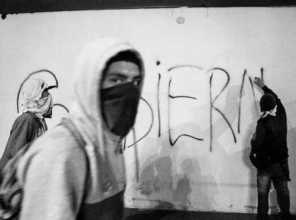 El gru&ntilde;ido de un zorro