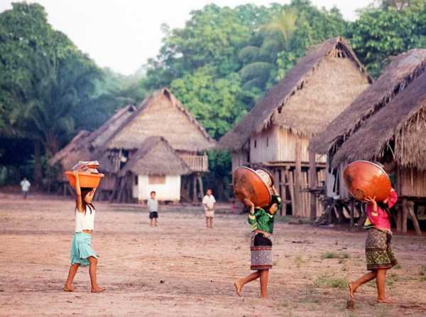 Inversión y propiedad para la Amazonía