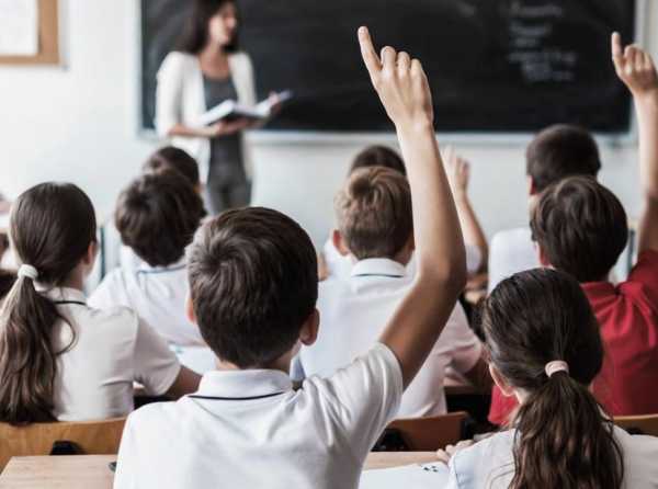 Calidad educativa para la supervivencia de la humanidad