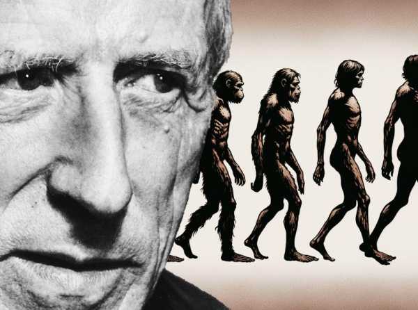 Homo magnificus