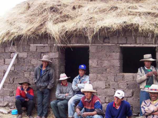 &iquest;Qui&eacute;nes son los radicales?