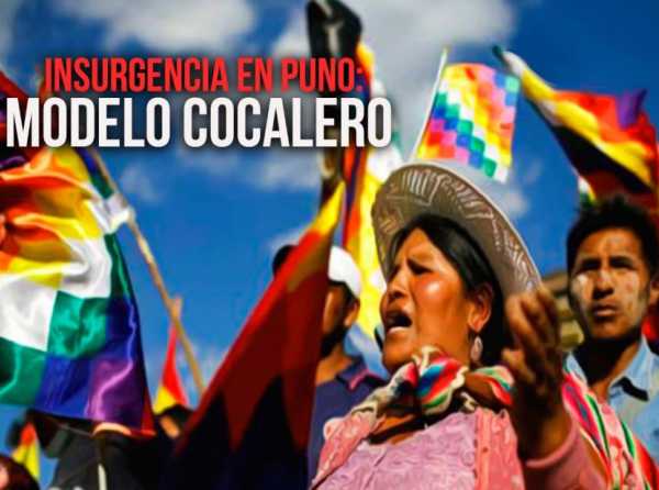 Insurgencia en Puno: modelo cocalero