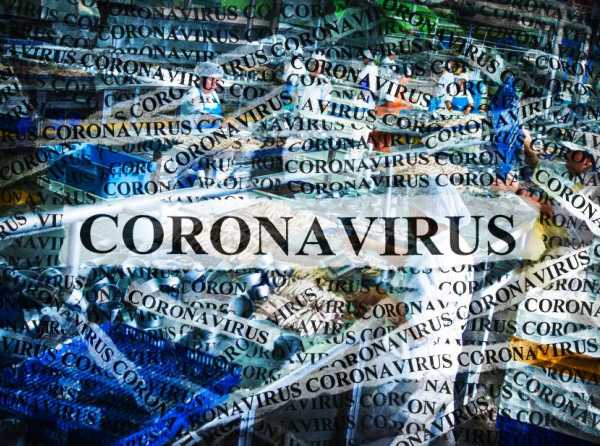 La epidemia del coronavirus y los elefantes blancos del Estado