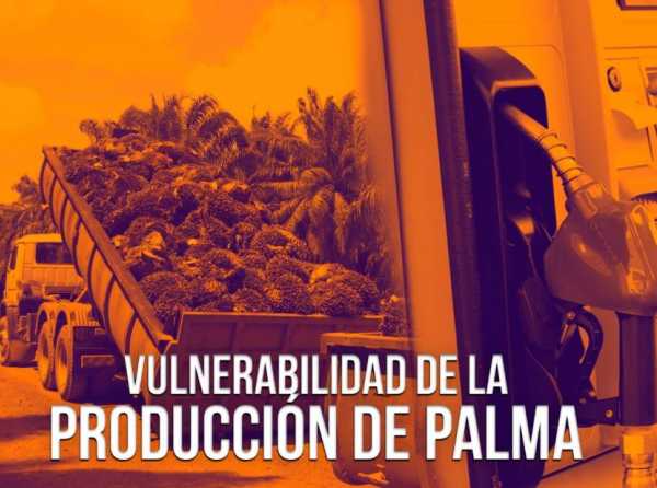 Vulnerabilidad de la producción de palma