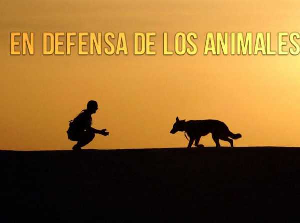 En defensa de los animales