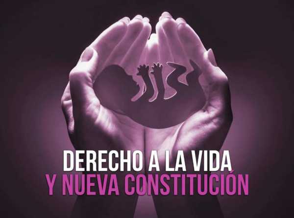 Derecho a la vida y nueva Constitución