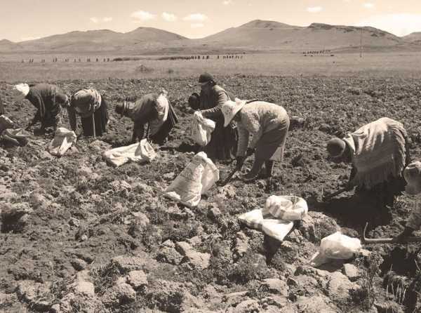 El régimen laboral agrario requiere un nuevo impulso