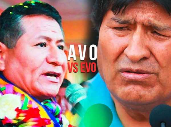 AVO versus Evo