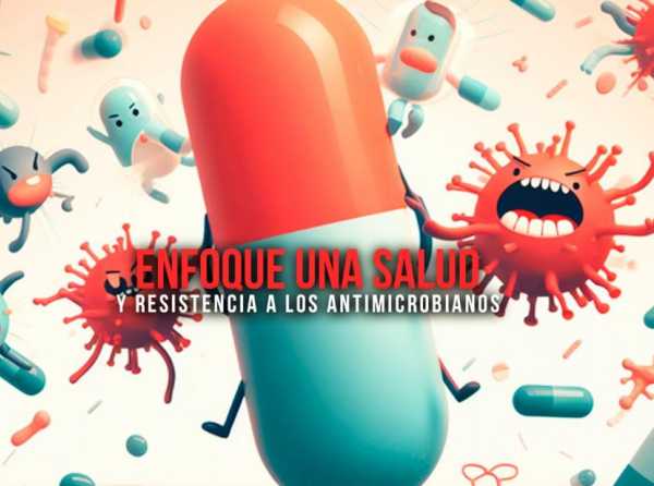 Enfoque Una Salud y resistencia a los antimicrobianos