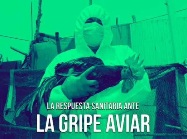 La respuesta sanitaria ante la gripe aviar