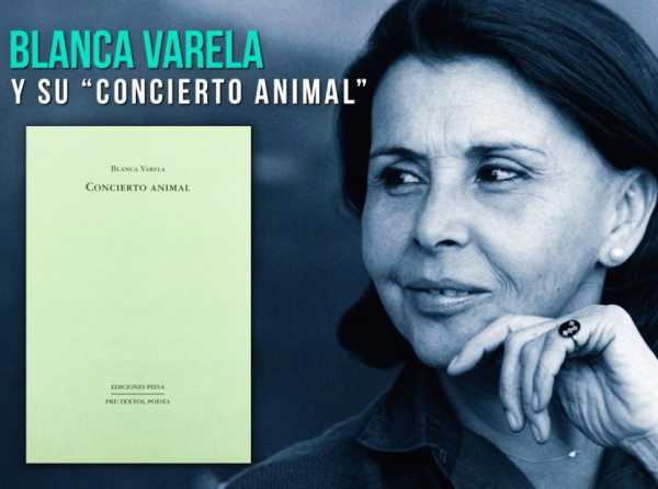 Blanca Varela y su “Concierto animal”