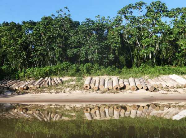 Desmitificar la Amazonía