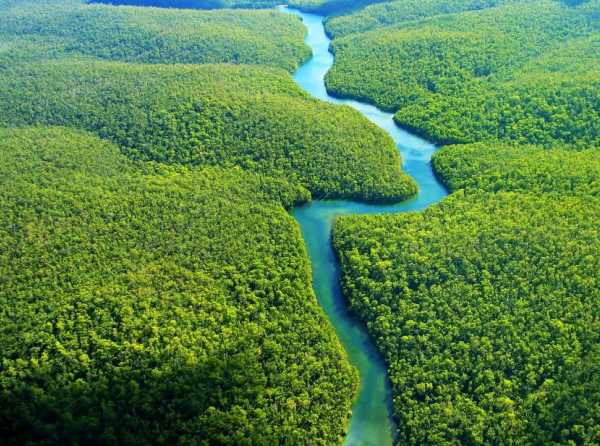 ¿Nueva Amazonía o más de la misma?