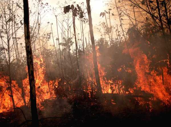 ¿Son de verdad tan graves los incendios en la Amazonía?