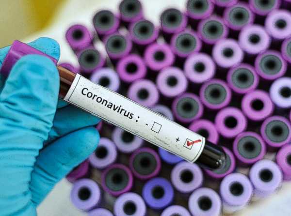 Otro coronavirus llega desde Asia