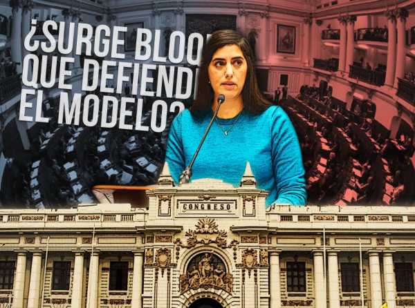 Congreso: ¿surge bloque que defiende el modelo?