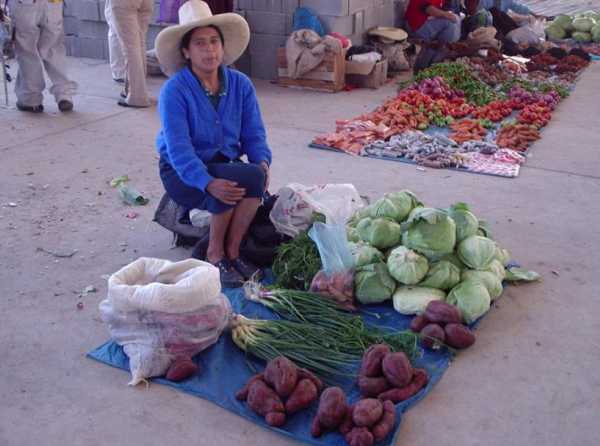 La pobreza se traslada al norte