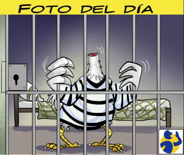 Caricatura del d&iacute;a #2168