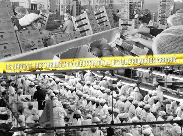 ¡No permitamos que las agroexportaciones agonicen!