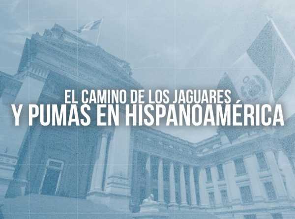 El camino de los jaguares y pumas en Hispanoamérica
