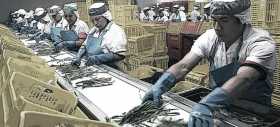 El relato y la batalla para convertir al Perú en potencia agroexportadora