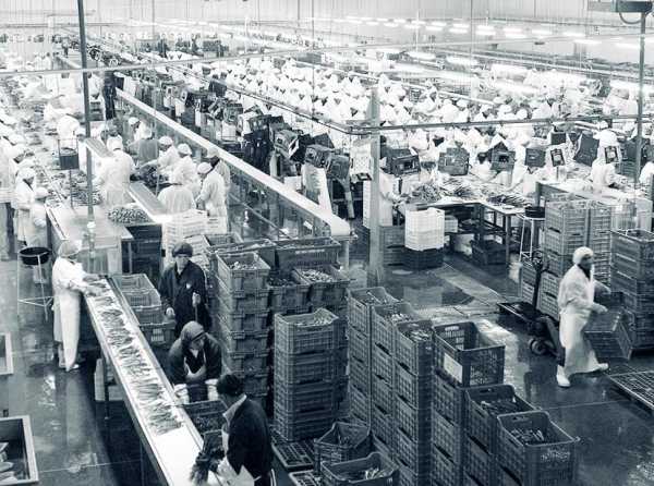 Consecuencias de eliminar la flexibilidad laboral en el agro