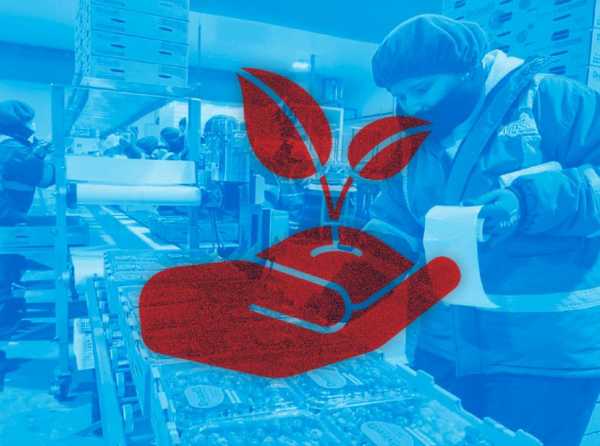 Las agroexportaciones, una columna central del desarrollo nacional