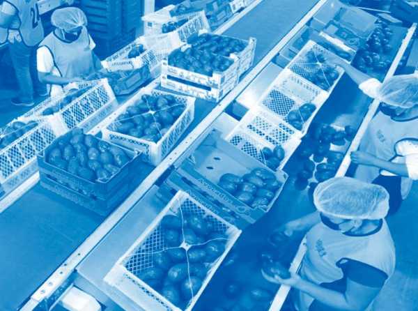 Insistir en el proyecto de un Perú agroexportador