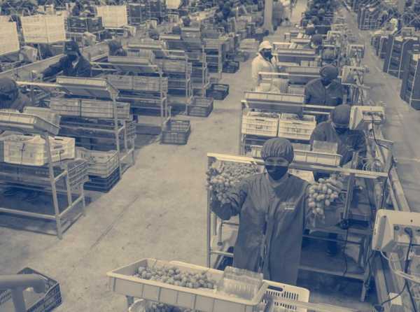 El horizonte agroexportador del Perú y una nueva urbanización de la sociedad