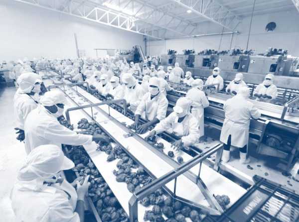 La batalla de ideas contra los enemigos de la agroexportación nacional