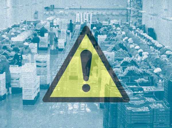 El sistem&aacute;tico ataque a las agroexportaciones en el Per&uacute;