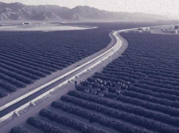 El boom agroexportador, los modelos del sudeste asi&aacute;tico y la sustituci&oacute;n de importaciones