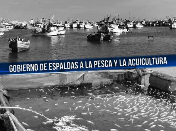 Gobierno de espaldas a la pesca y la acuicultura