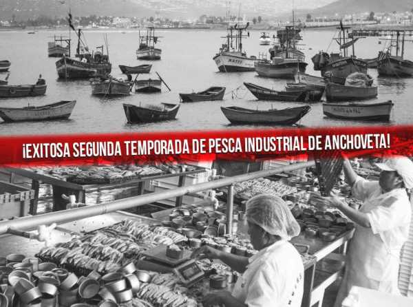 ¡Exitosa segunda temporada de pesca industrial de anchoveta!