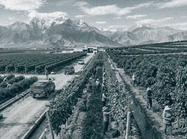 Confirmando el camino agroexportador del Per&uacute;
