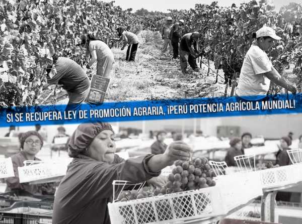 Si se recupera Ley de Promoción Agraria, ¡Perú potencia agrícola mundial!