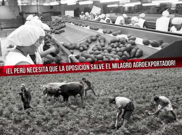 ¡El Perú necesita que la oposición salve el milagro agroexportador!