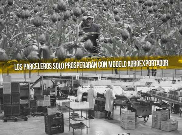 Los parceleros solo prosperarán con modelo agroexportador