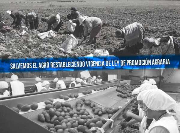 Salvemos el agro restableciendo vigencia de Ley de Promoción Agraria