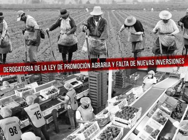 El intento del progresismo para liquidar el sector agroexportador