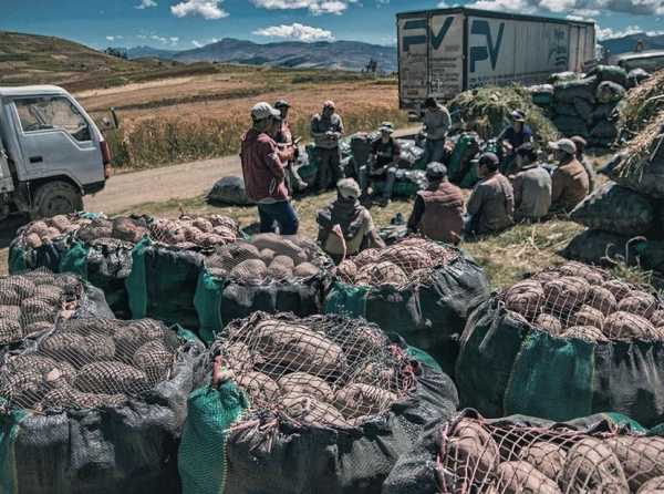 Perú, potencia agroexportadora mundial con nueva ley de promoción agraria