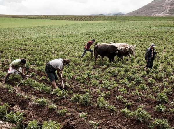 Desarrollo agrícola: avances y desafíos