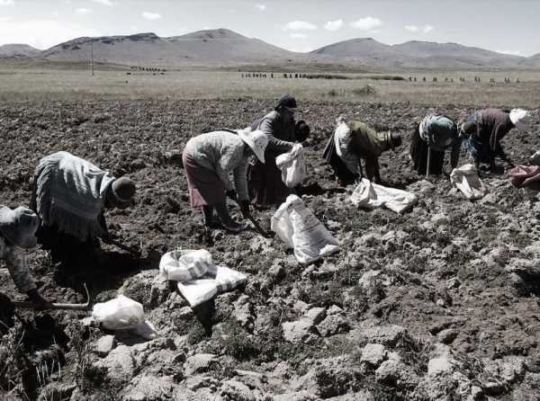 ¿Por qué el Perú necesita una nueva ley de promoción agraria?