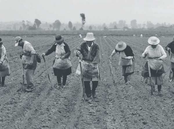 Nueva ley de promoción agraria para crear una clase media en el campo