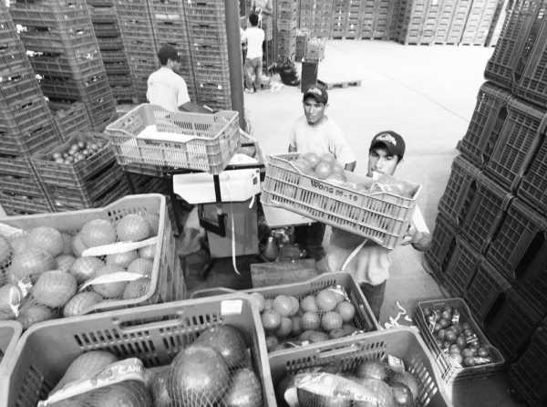 Promover inversiones en el agro para salvar al Perú