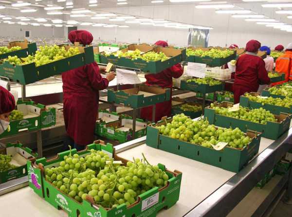 Exportaciones agroindustriales a todo vapor